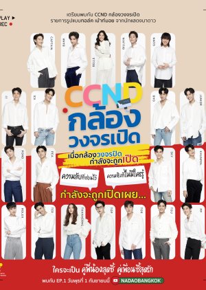 CCND (2021) poster