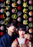 Watashitachi wa Douka Shiteiru japanese drama review