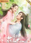 Dear Herbal Lord chinese drama review