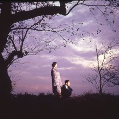 Her Brother Japanese Movie photo