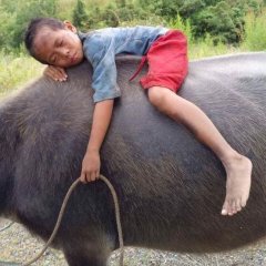 Balangiga: Howling Wilderness Philippines Movie photo