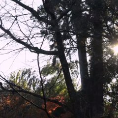 I, Myself Taiwanese Drama photo