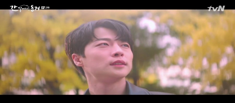 Aesthetic