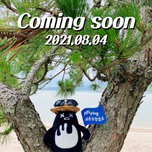N.flying Seunghyub's Summer Camp: Season 4 (2021)