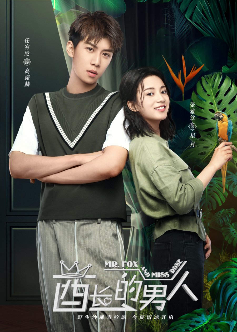 Mr. Fox and Miss Rose (2020) - MyDramaList