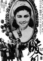 Warm Wind Korean Movie photo