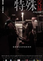 A Big Deal Chinese Movie(2013) photo