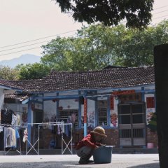 Taste of Wild Tomato Taiwanese Movie photo