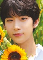 Mr. Boss Korean Movie photo