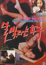 The Woman Who Rides The Moonlight Korean Movie photo