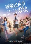 Soft Memory chinese drama review
