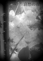 Aishu no Yoru Japanese Movie photo