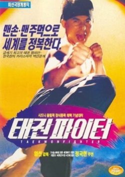 Taekwon Fighters (1995) poster