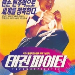 Taekwon Fighters (1995)