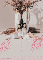 Margaret and David Series: Si Si