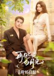 Fall in Love Again chinese drama review