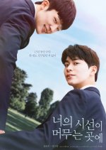 Where Your Eyes Linger (Director’s Cut) Korean Movie photo