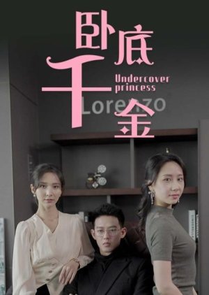 Undercover Princess (2024) poster