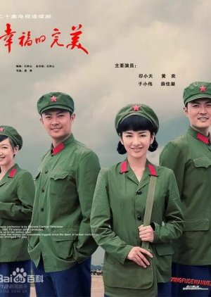 Xing Fu De Wan Mei (2009) poster