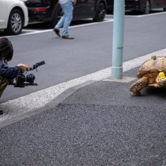 Mirai to Future Japanese Movie photo