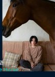The Horse