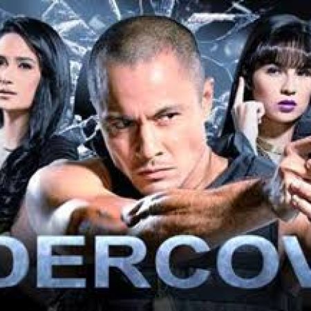 Undercover (2013)