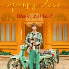 Puppy Love Chinese Movie(2023) photo
