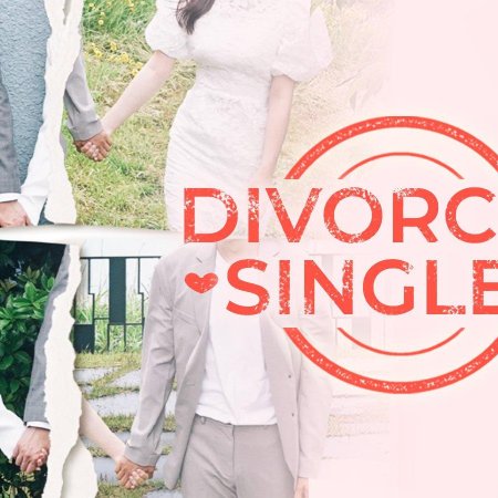 Divorced Singles (2021)