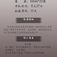 The Double Chinese Drama(2024) photo