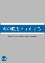 Kimi no Hitomi wo Taihosuru! Japanese Drama photo