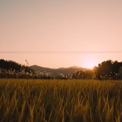 Oasis Korean Drama photo