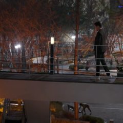 Marriage Contract Korean Drama photo