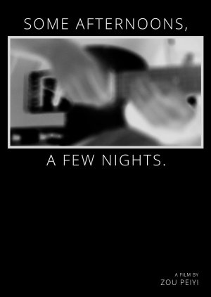 Some Afternoons, a Few Nights (2024) poster