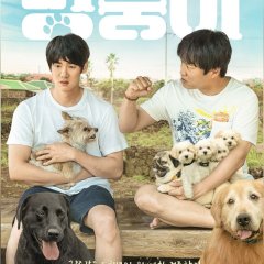 My Heart Puppy Korean Movie photo
