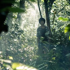 Wild Sparrow Taiwanese Movie photo