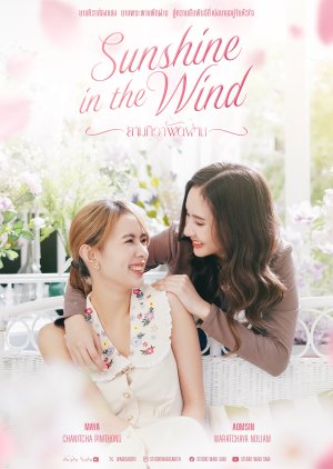Sunshine in the Wind () poster