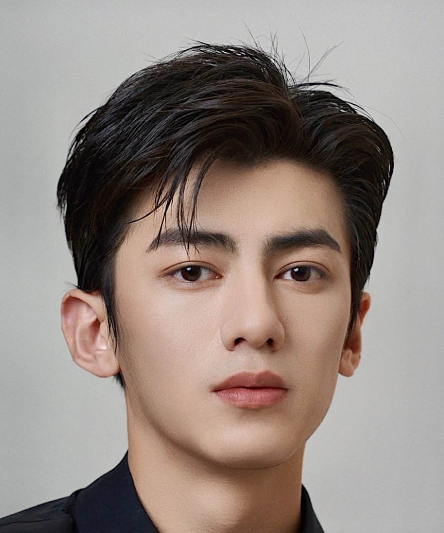 Wang Jie Xi  The King's Avatar - MyDramaList