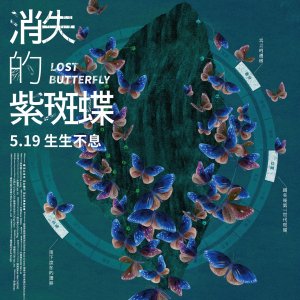 Lost Butterfly (2023)
