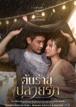 Unhating You Thai Drama photo