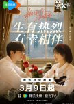 Angels Fall Sometimes chinese drama review