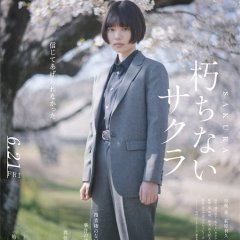 Sakura Japanese Movie(2024) photo
