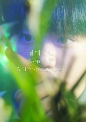 A Tropical Boy poster