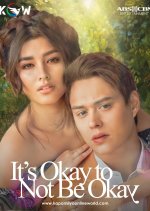It's Okay to Not Be Okay (2024) photo