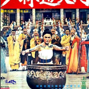 The Fight for Shaolin Tamo Mystique (1977)