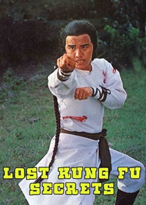 The Lost Kung Fu Secrets (1979) poster