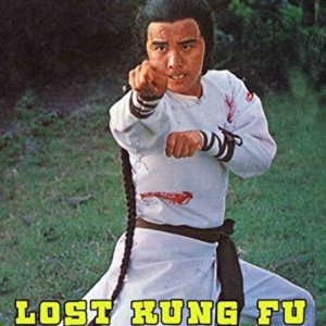 The Lost Kung Fu Secrets (1979)