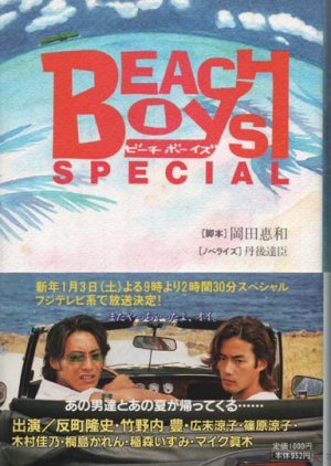 Beach Boys Special (1998) poster
