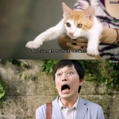the plan man korean movie watch online