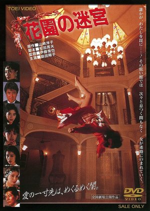 Labyrinth Romanesque (1988) poster