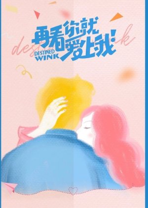 Destined Wink () poster